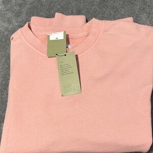 Target Men's Soft Pink Crewneck Sweater